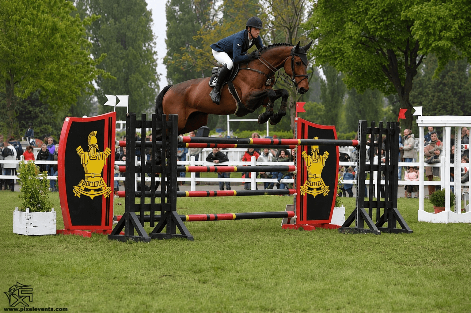 Eduardo Blanco, coach international au Domaine Équestre de Monnières